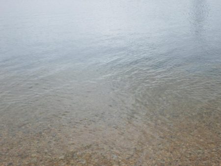 ボラニング⁇ボニング⁇シーバスだよ‼